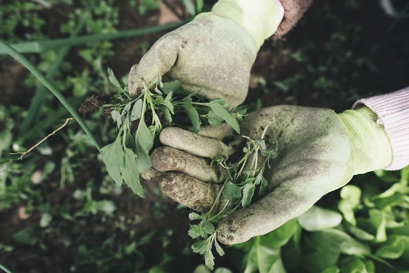 Gants de protection : le grip qui sauve